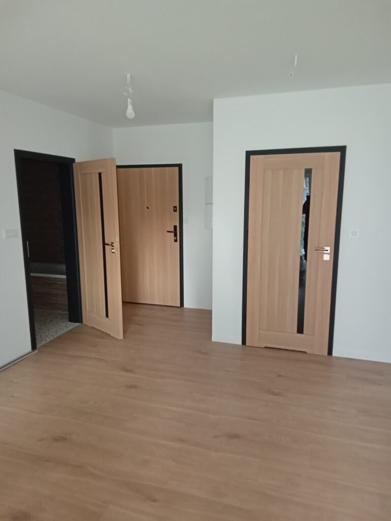 Modernios ekofaneruotės durys su stiklu ir tamsiais apvadais, kokybiškas klijuotos medienos rėmas